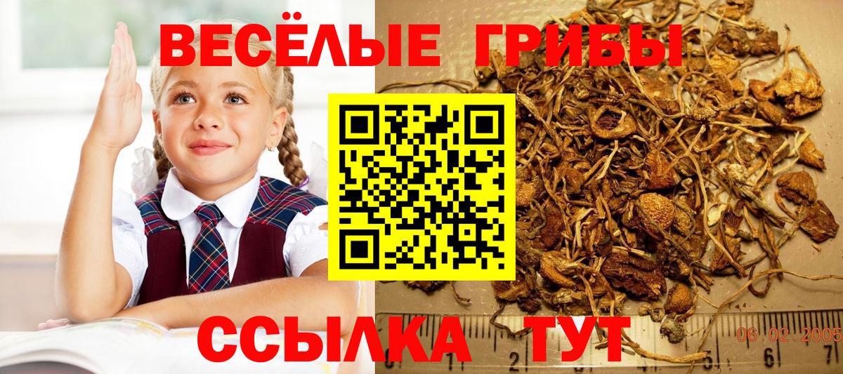Галлюциногенные грибы Cubensis Феодосия