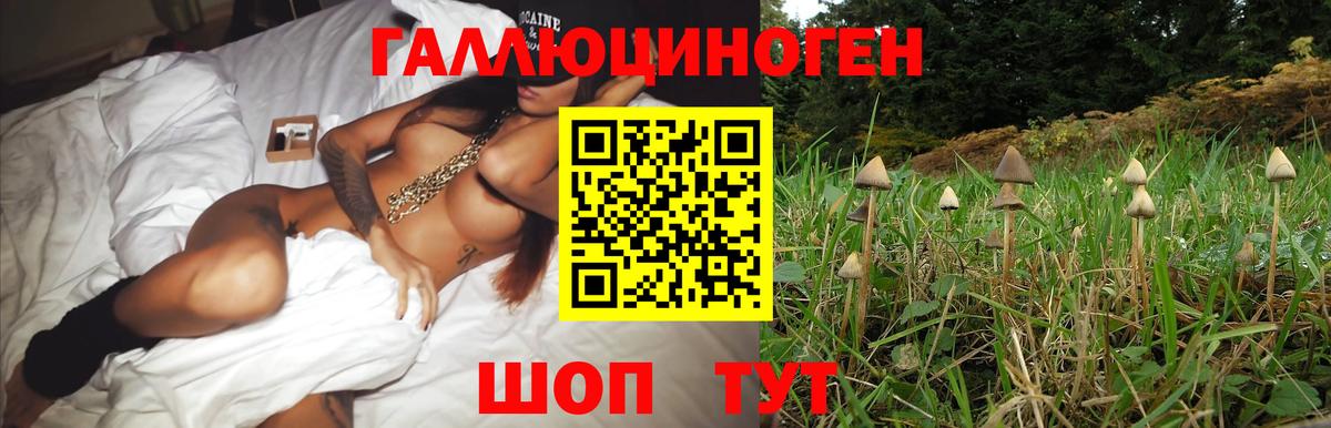 где купить наркоту  Галлюциногенные грибы мухоморы  Вход с VPN  Феодосия 